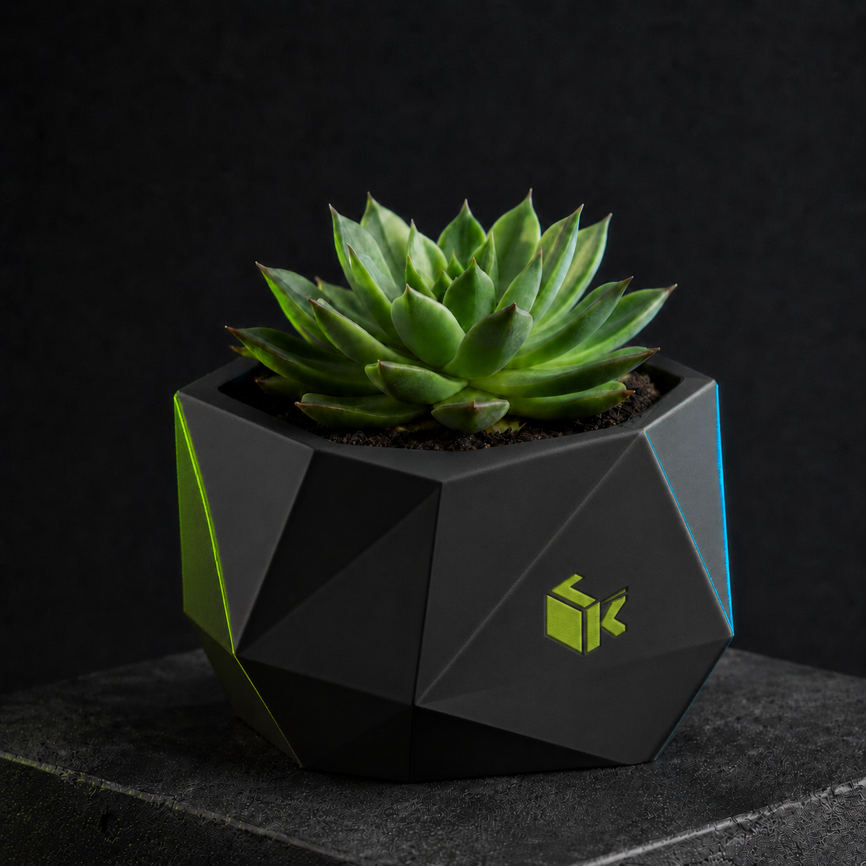 Macetero geométrico pequeño